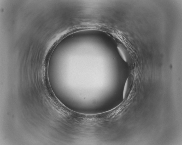 X0000088570342200706011053