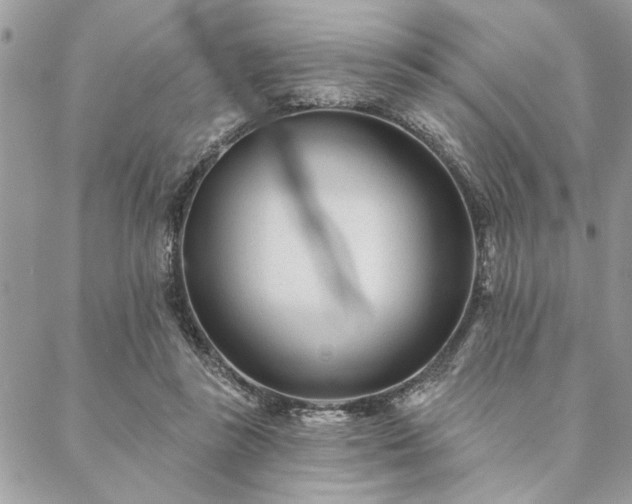 X0000088570355200706011053