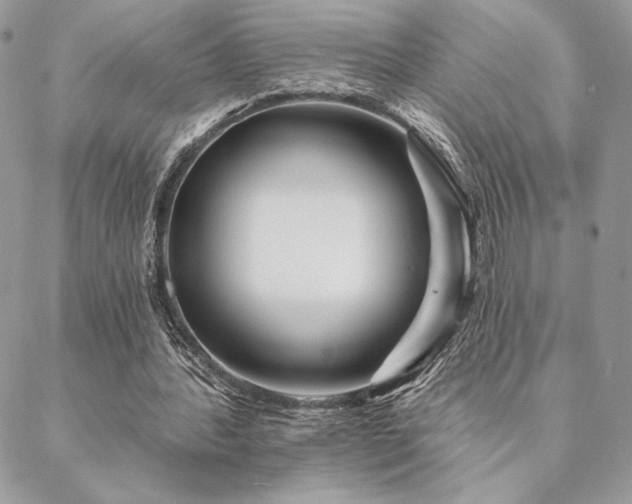 X0000088570388200706011053