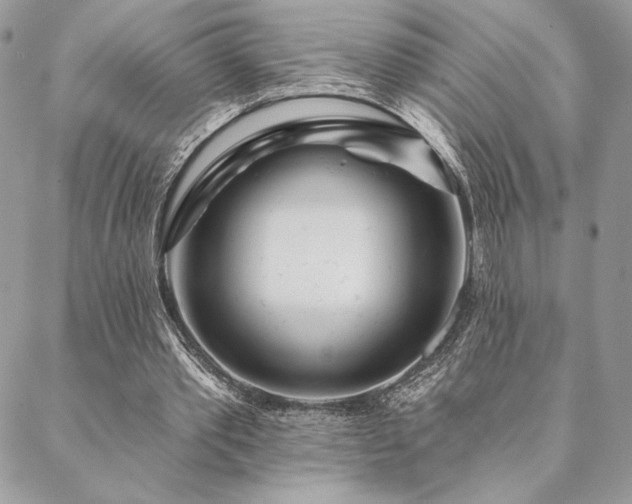 X0000088570389200706011053