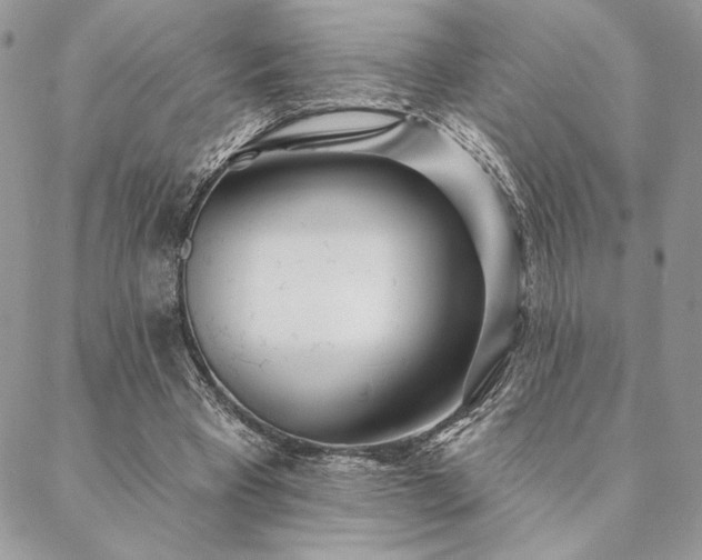 X0000088570393200706011053