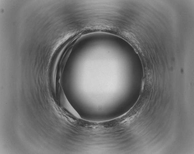 X0000088570395200706011053