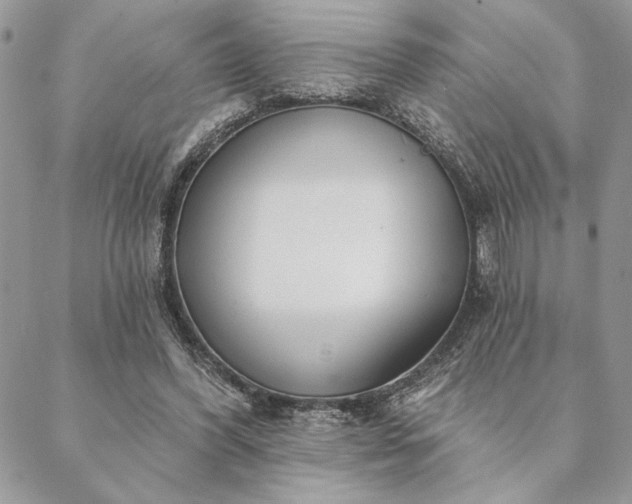 X0000088570396200706011053