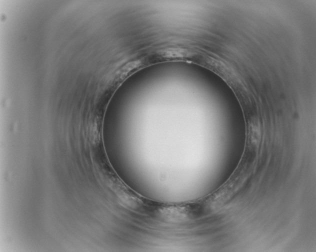 X0000088570422200706011052