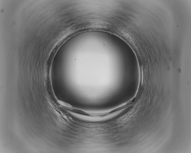X0000088570435200706011051