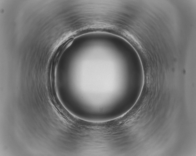X0000088570436200706011052
