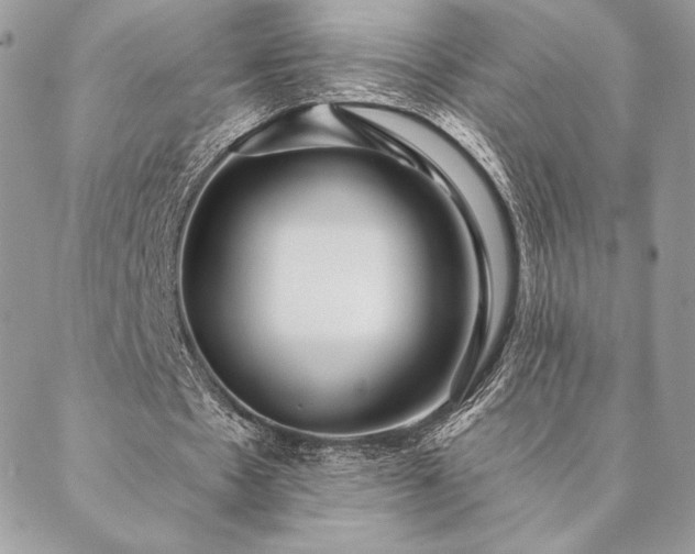 X0000088570481200706011051