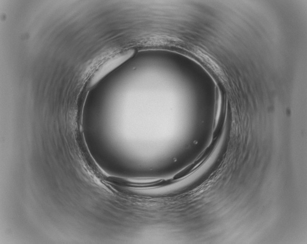 X0000088570485200706011051