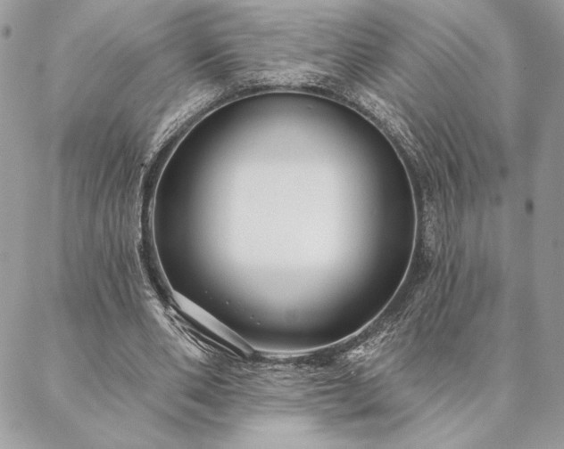 X0000088570486200706011051