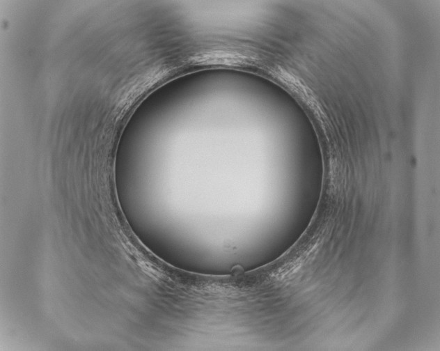 X0000088570529200706011050