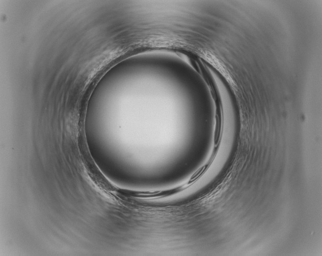 X0000088570530200706011050