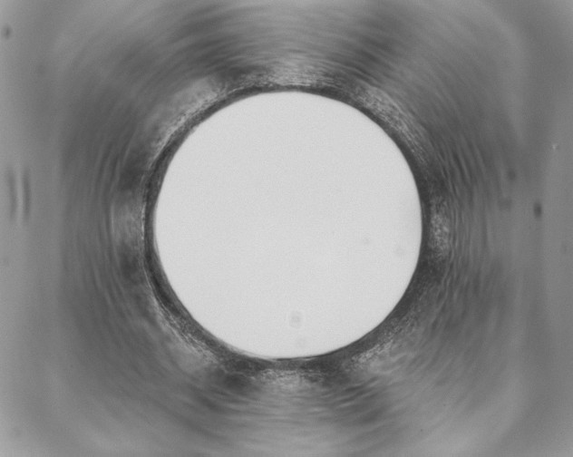 X0000088570534200706011050