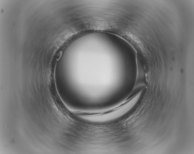 X0000088570540200706011050