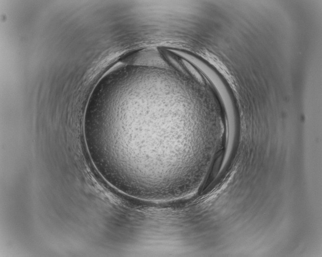 X0000088570577200706011050