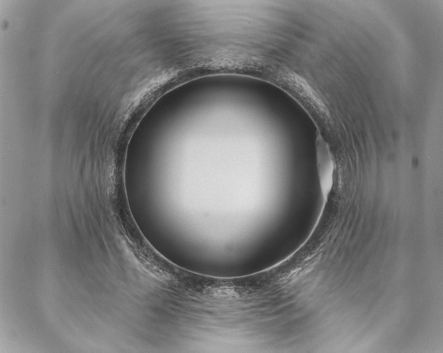 X0000088570588200706011050