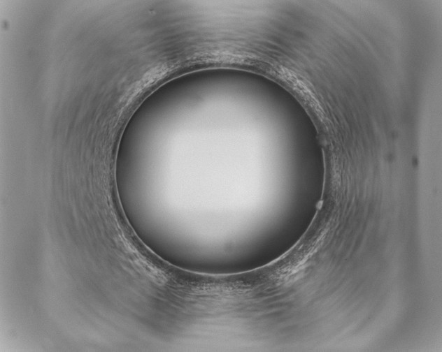 X0000088570625200706011048