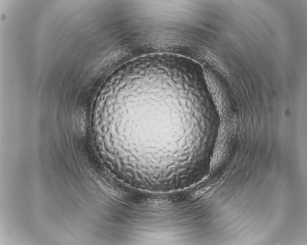 X0000088570644200706011049
