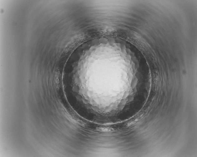 X0000088570654200706011049