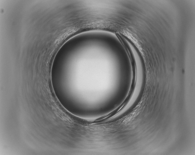 X0000088570673200706011048
