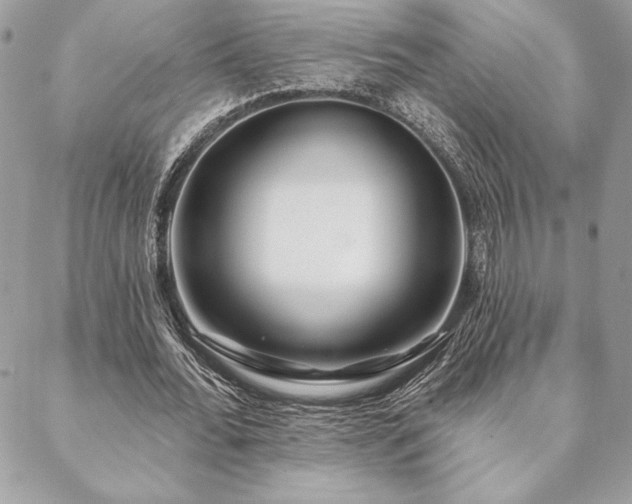X0000088570676200706011048