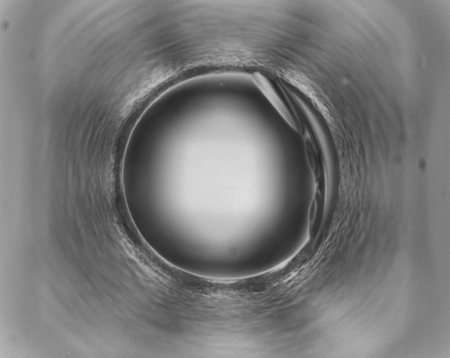 X0000088570677200706011048