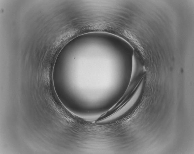 X0000088570681200706011048
