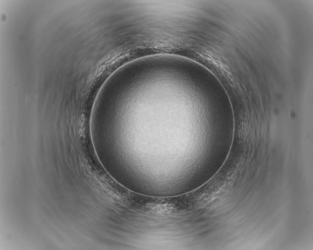 X0000088570689200706011048