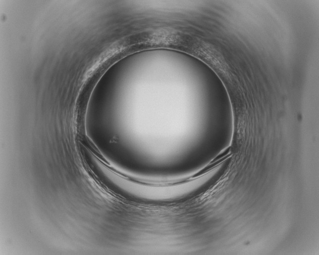 X0000088570722200706011047