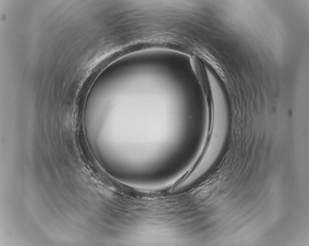 X0000088570724200706011047