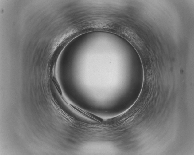 X0000088570727200706011047
