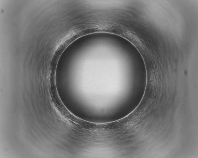 X0000088570730200706011047