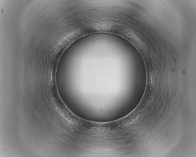 X0000088570733200706011047