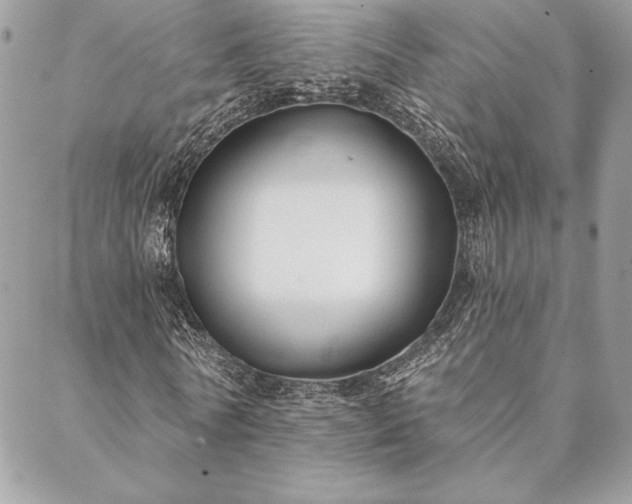 X0000088570770200706011047