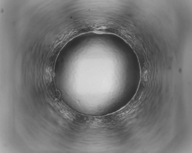 X0000088570772200706011047