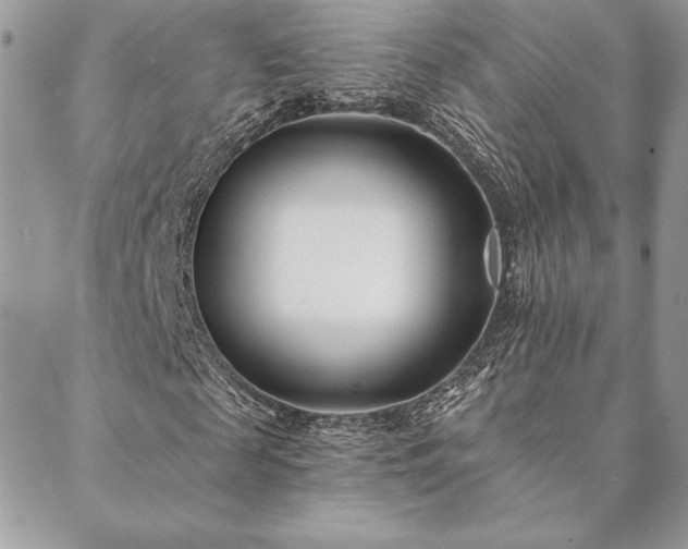 X0000088570817200706011045