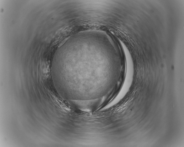 X0000088570818200706011045