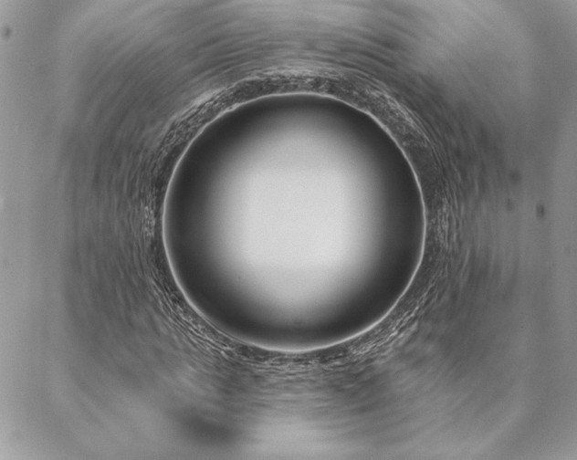 X0000088570821200706011045
