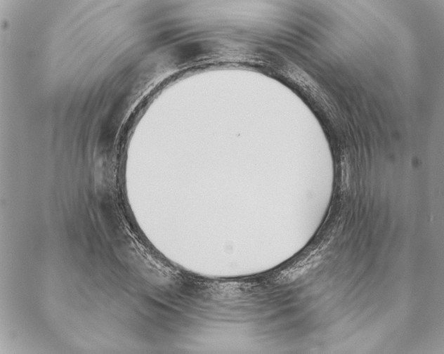 X0000088570828200706011045