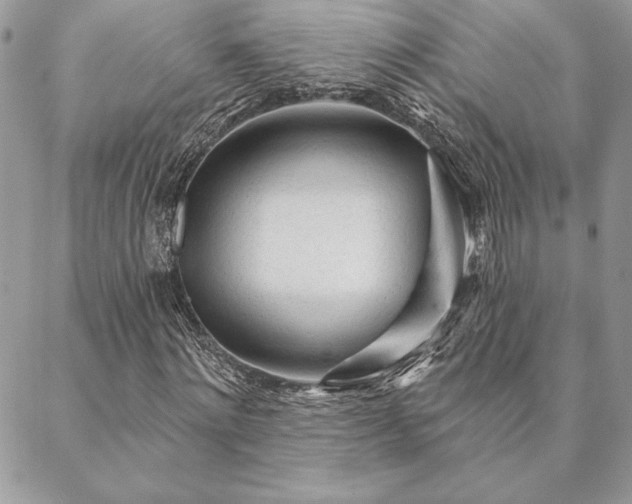 X0000088570868200706011045