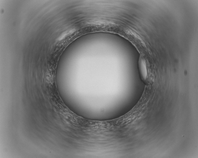 X0000088570869200706011045