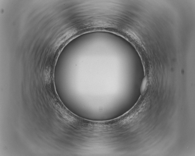X0000088570873200706011045
