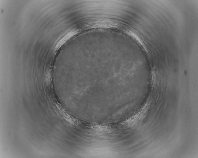 X0000088570874200706011045