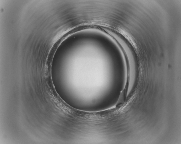 X0000088570876200706011045