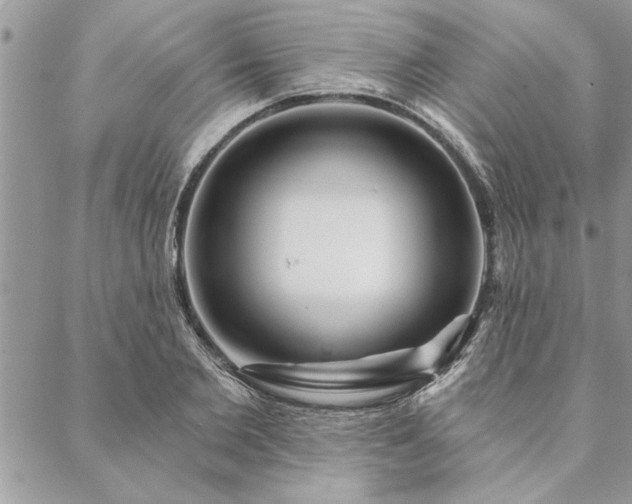 X0000088570885200706011045