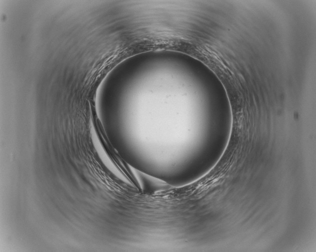 X0000088570916200706011044
