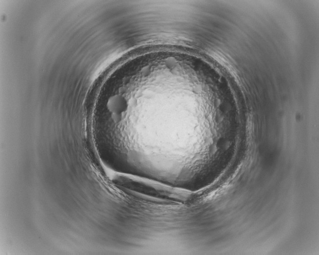 X0000088570925200706011044