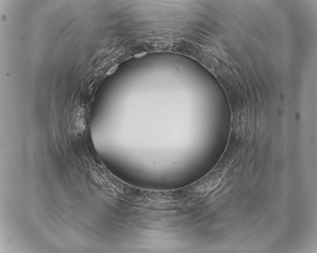 X0000088570962200706011044