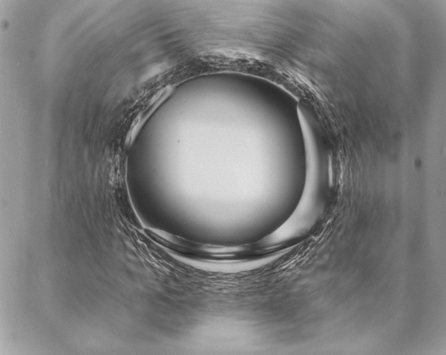 X0000088570965200706011044