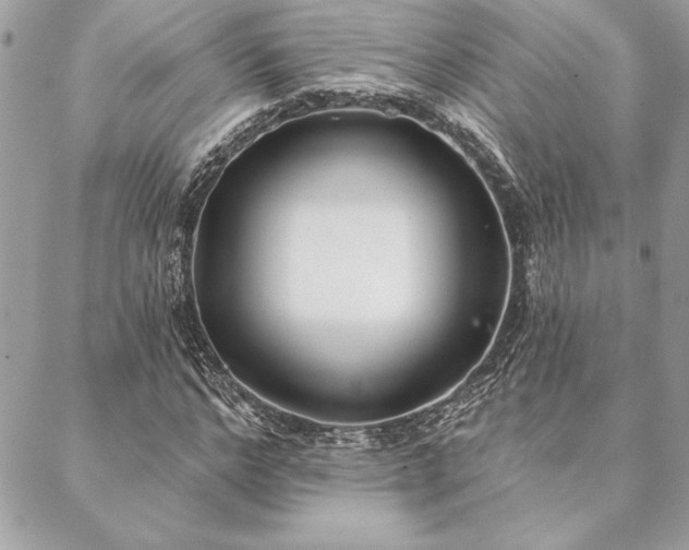 X0000088570968200706011044