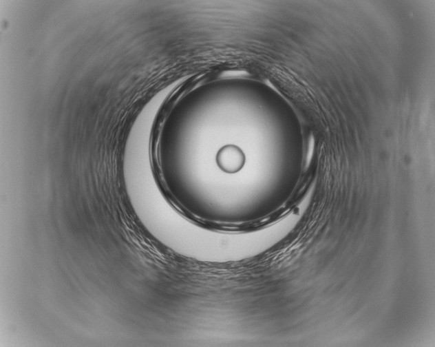 X0000088571010200706011042